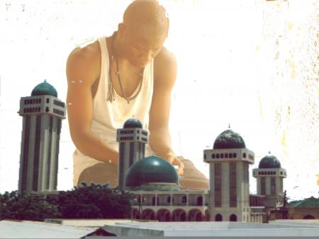 NABI PIPO
